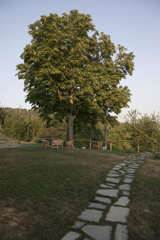 Crealto Alfiano Natta Exterior foto