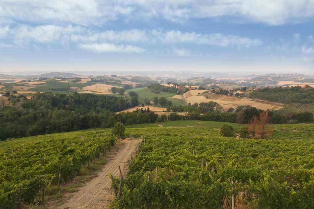Crealto Alfiano Natta Exterior foto