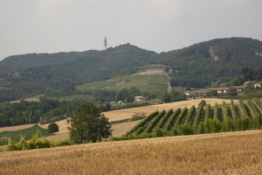 Crealto Alfiano Natta Exterior foto